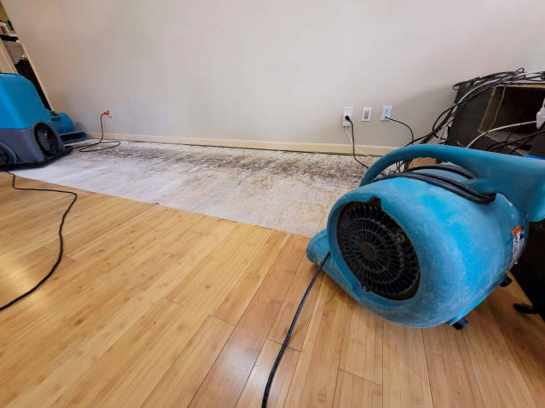 Professional Flood Damage Cleanup technician working in Commerce City, CO